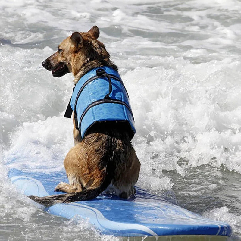 Schwimmhilfe für Hunde